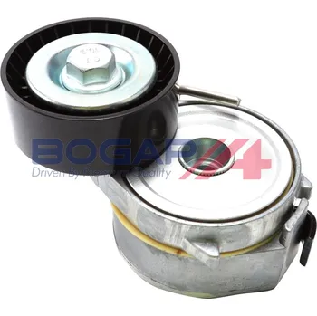 Rozvod motoru Napínák žebrovaného klínového řemenu BOGAP J1317100