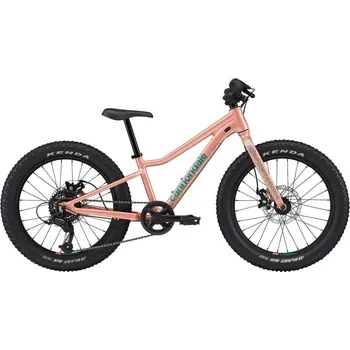 Dětské kolo Cannondale KIDS TRAIL PLUS 20 2025 (SAL)