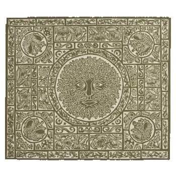 Hudba LP Fuzzy Lights: Fen Creatures (lp) 2025