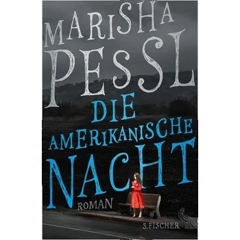 Americká noc: Román