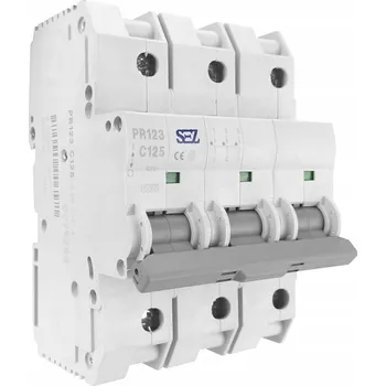 Jistič C125A 3P 10kA Jistič nadproudový pojistka eska PR123 SEZ 6571
