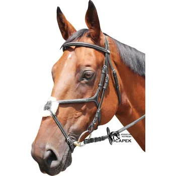 Sport Uzdečka Kentaur -KNOXVILLE - Černá - Full