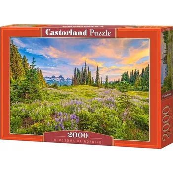 Puzzle Puzzle 2000 Květů rána