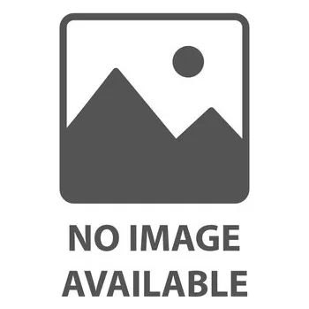 Počítačová hra Age of Empires II (Definitive Edition) (The Mountain Royals)