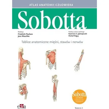 Tablice anatomiczne mięśni, stawów i nerwów. Łacińskie mianownictwo - Paulsen Friedrich, Waschke Jens