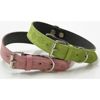 Obojek pro psa BELTY obojek ANDY kožený podšitý ražený 2,5/56cm