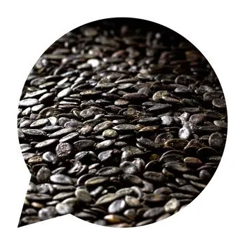 Potravina Dýňová semínka Česká