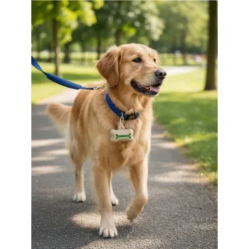 sáček na exkrement Sinsay - Pouzdro na sáčky na exkrementy - béžová - 838IA-08X - 838IA-08X-ONE