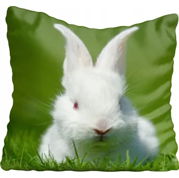 Povlak na polštářek Dekorační povlak na polštář s motivem králíka 60x60 cm