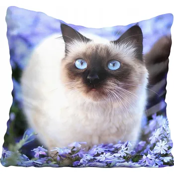 Polštář Dekorační povlak na polštář s motivem kočky 50x50 cm