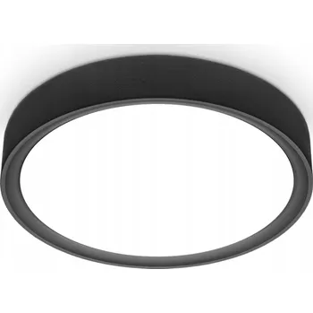 STROPNÍ SVÍTIDLO - LED 12W - ČERNÝ - CHODBA - KUCHYNĚ