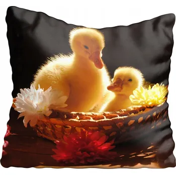 Povlak na polštářek Dekorační povlak na polštář s motivem kachniček 55x55 cm