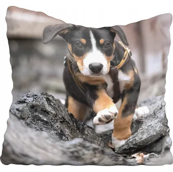 Povlak na polštářek Dekorační povlak na polštář s motivy psů 45x45 cm