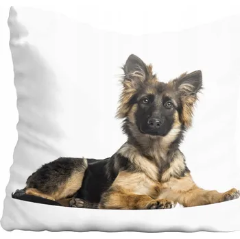 Polštář Dekorační povlak na polštář s motivem psa 30x30 cm