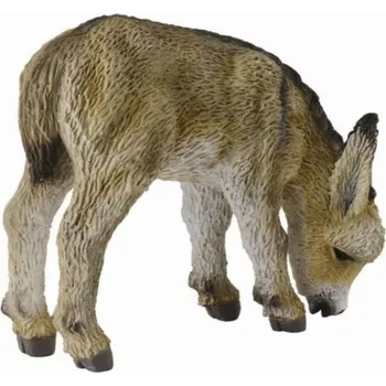 HŘÍBĚ OSLÍKA PASE SE