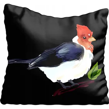 Polštář Povlak na polštář s motivem ptáka, akvarel 40x40 cm