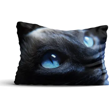 Polštář Povlak na polštářek Koťátko 60x90 cm