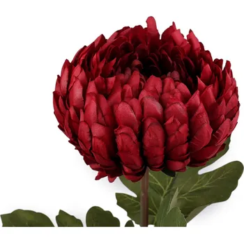 umělá květina Umělá chryzantéma, střední, 5 (Ø12 cm) červená tmavá zavřená