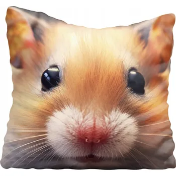 Povlak na polštářek Dekorační povlak na polštář s motivem myši 65x65 cm