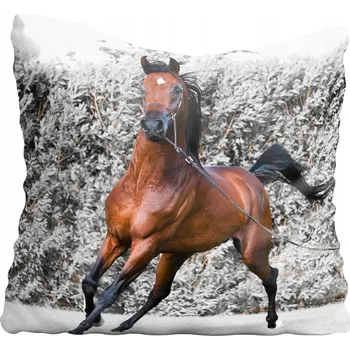 Povlak na polštářek Dekorační povlak na polštář s koněm 40x40 cm