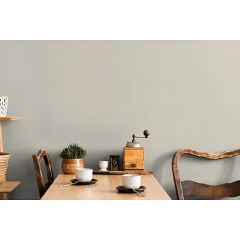 Tapeta ŠEDÁ VINYLOVÁ TAPETA NA VLIESU, JEDNOBAREVNÁ TAPETA NA ZEĎ