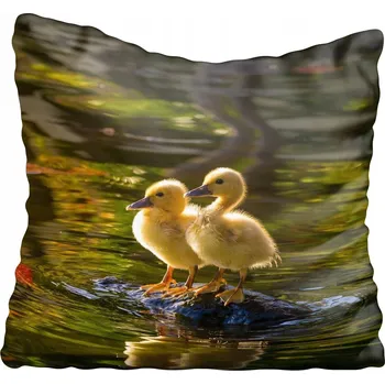 Povlak na polštářek Dekorační povlak na polštář s kachničkami 45x45 cm