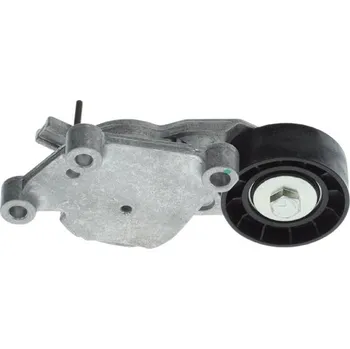 Motor automobilu Napínák žebrovaného klínového řemenu BOSCH 1 987 600 351