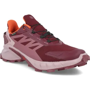 Dámská běžecká obuv Salomon Supercross 4 GTX W L47594500 - tawny port/deauville mauve cherry/tomato 42 2/3