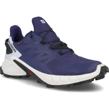 Dámská sportovní obuv Salomon Supercross 4 GTX W L41733500 - astral aura/white/black 39 1/3