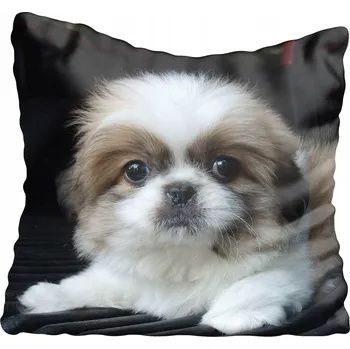 Polštář Dekorační povlak na polštář s motivy psů 50x50 cm