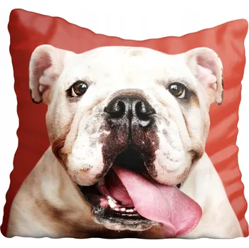 Polštář Dekorační povlak na polštář PES 40x40cm 3760