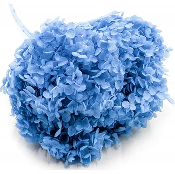 umělá květina Hortenzie Stabilizovaná (Hydrangea Cabeza) - Royal - Modrá