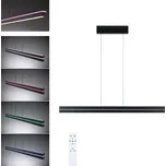 PAULMANN LED závěsné svítidlo Raiko RGBW+ stmívatelné / 19W / 6W černá - PAULMANN P 78474