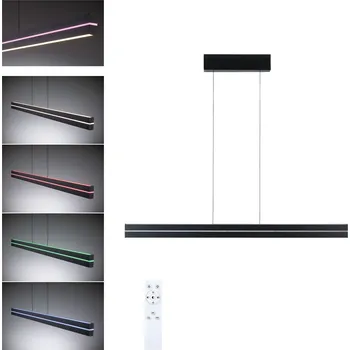 Svítidlo PAULMANN LED závěsné svítidlo Raiko RGBW+ stmívatelné / 19W / 6W černá - PAULMANN P 78474