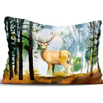 Polštář Povlak na polštář akvarel 30x70 cm