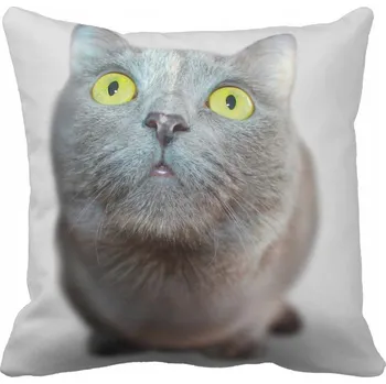 Povlak na polštářek Povlak na polštář Kočka 45x45 cm