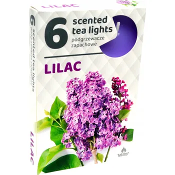 Svíčka Parafínová čajová svíčka Bez Admit 6 ks