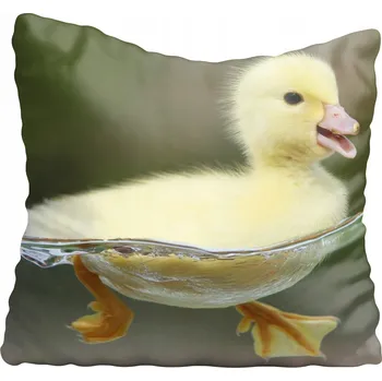 Polštář Dekorační povlak na polštář s kachničkami 50x50 cm