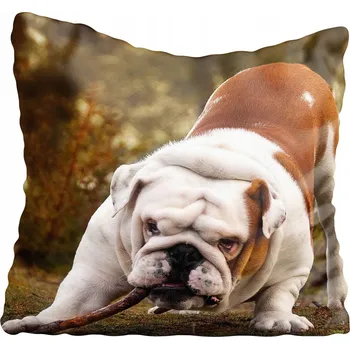 Povlak na polštářek Dekorační povlak na polštář s motivy psů 55x55 cm