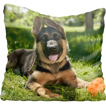 Polštář Dekorační povlak na polštář s motivem psa 40x40 cm
