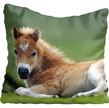 Povlak na polštářek Dekorační povlak na polštář s koňmi 65x65 cm