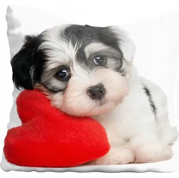 Polštář Dekorační povlak na polštář s motivy psů 50x50 cm