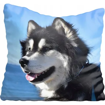 Polštář Dekorační povlak na polštář s motivy psů 50x50 cm