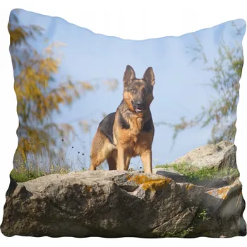 Povlak na polštářek Dekorační povlak na polštář s motivem psa 45x45 cm