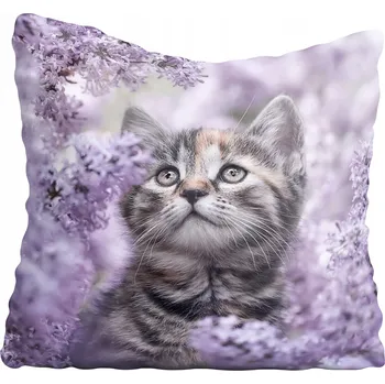 Povlak na polštářek Dekorační povlak na polštář s motivem kočky 75x75 cm