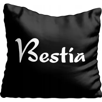 Povlak na polštářek Dekorační povlak na polštář 60x60 cm