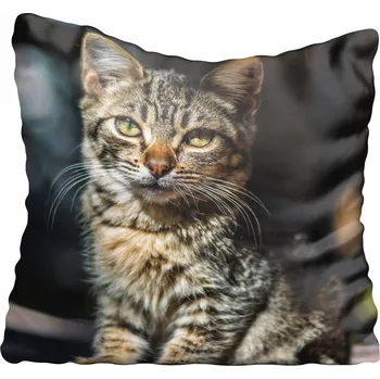 Povlak na polštářek Dekorační povlak na polštář s kočkami 75x75 cm