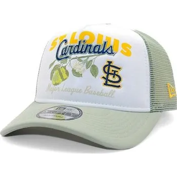 Kšiltovka New era Kšiltovka Unisex NEW ERA-60595259 vícebarevná