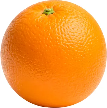 Ovoce Pomeranč, cca 100g