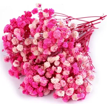 Svatební dekorace Sušený nevěstin závoj - růžový